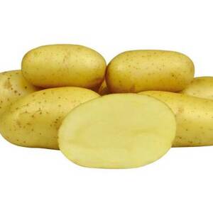 Sadba brambor COLETTE (pytel 25kg)