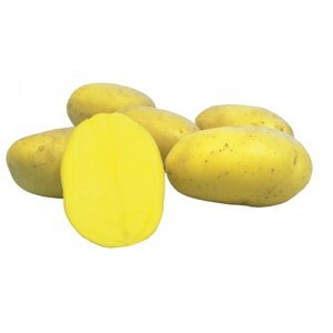 Sadba brambor PRINCESS (pytel 25kg)