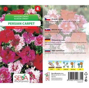 20731/4508 Hvozdík čínský Persian Carpet 0,3g