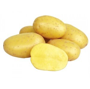 Sadba brambor ANTONIA (balení 25kg) EXPEDICE 14.3