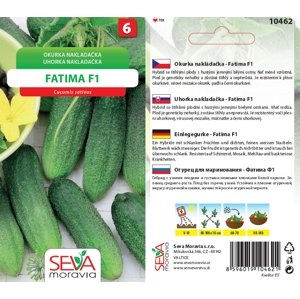 10462/1905 Okurka F1 Fatima 1g