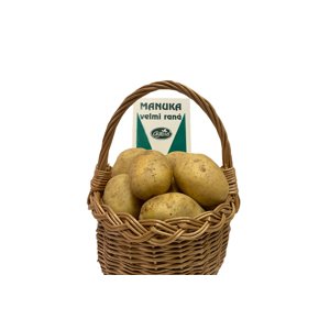 Sadba brambor MANUKA (pytel 25kg)