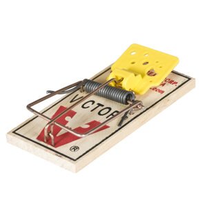 Victor - pastička na myši s pachem sýru 2 ks sklapovací pasti