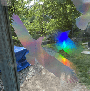 Silueta dravce z holografické fólie Fantasy rainbow, proti narážení ptáků do skla Silueta dravce z holografické folie Fantasy rainbow (166 x 404 mm tl. 0,065 mm) - kód: 24605